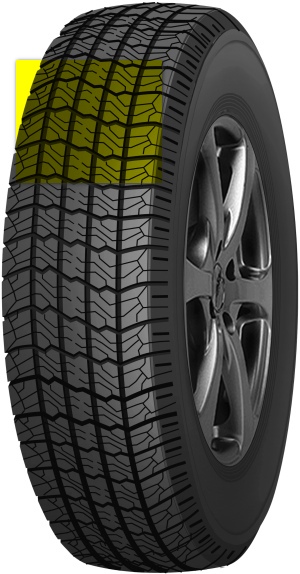 Алтайшина Forward Professional 170 Б/К (1)